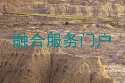融合服务门户