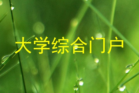 大学综合门户