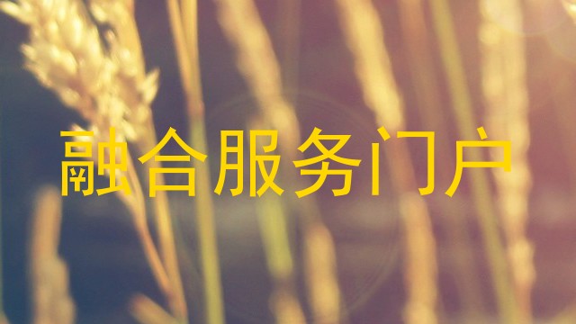 融合服务门户