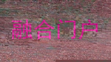 融合门户