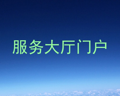服务大厅门户
