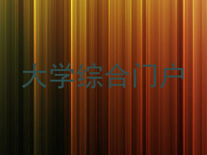 大学综合门户