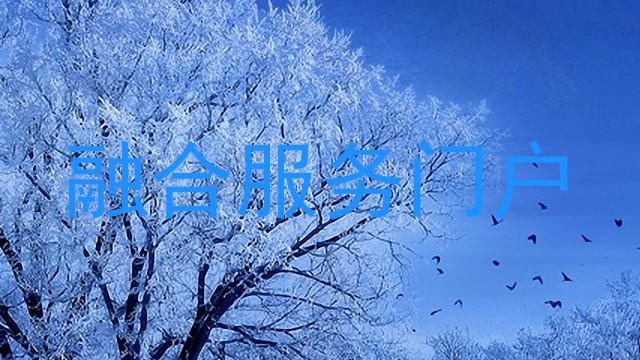 融合服务门户