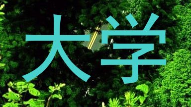 大学