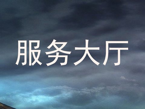服务大厅