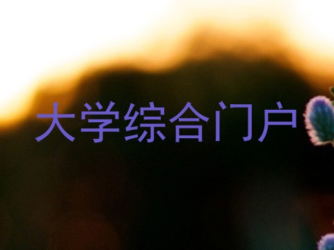 大学综合门户