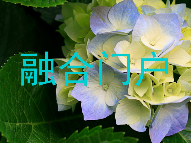 融合门户
