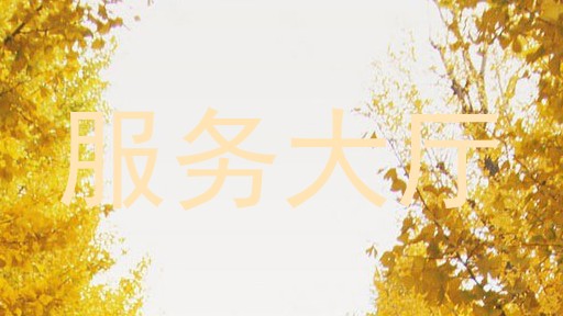 服务大厅