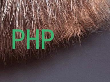 PHP