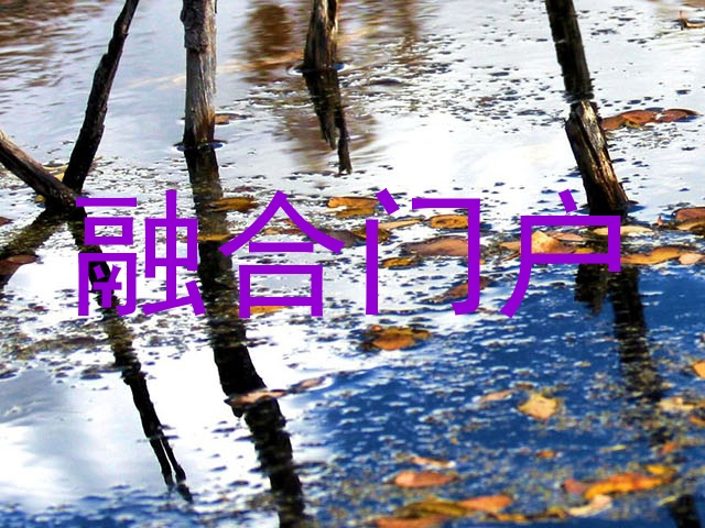 融合门户