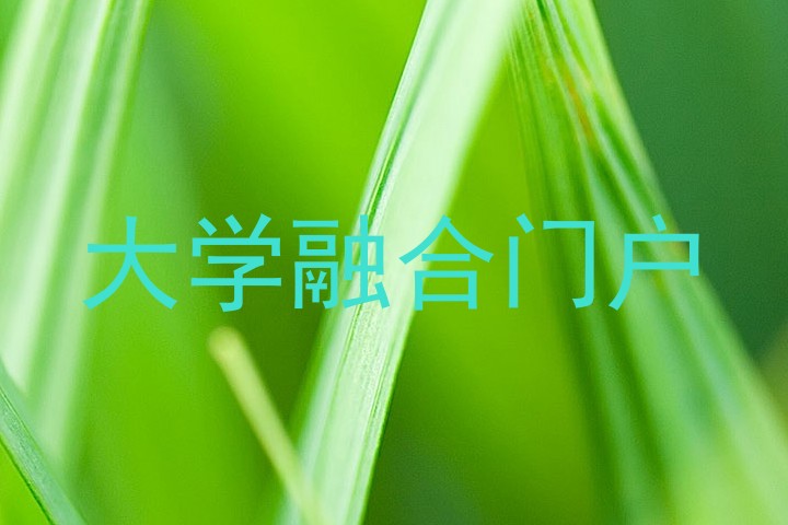 大学融合门户