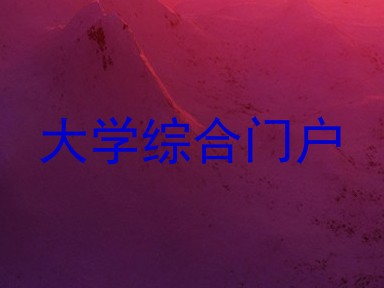 大学综合门户