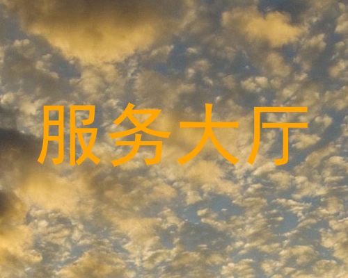 服务大厅
