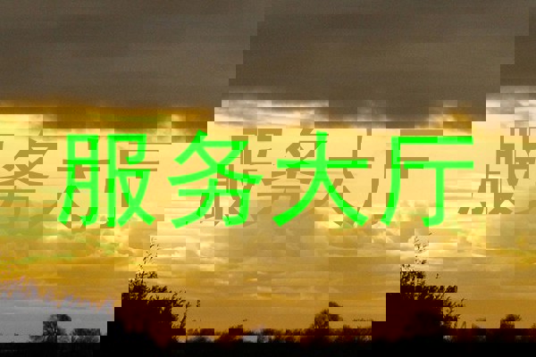 服务大厅