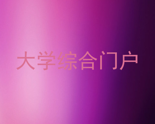 大学综合门户