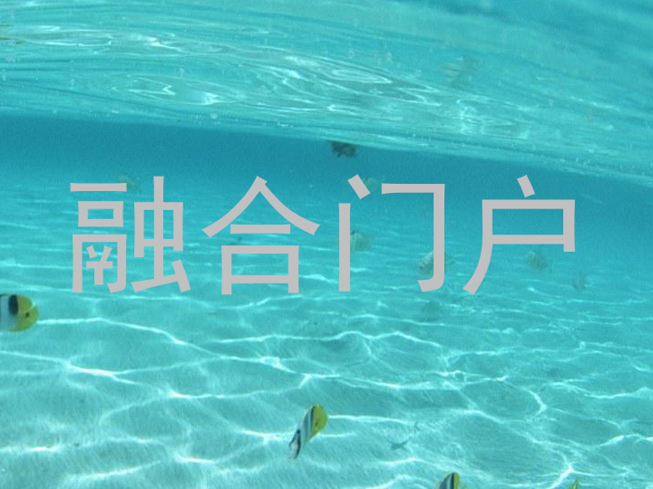 融合门户
