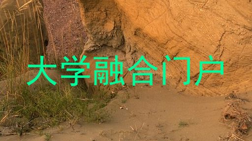 大学融合门户