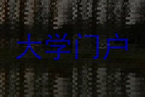 大学门户