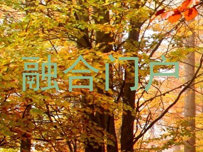 融合门户