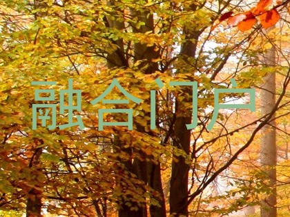融合门户