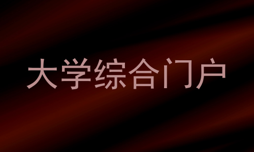 大学综合门户