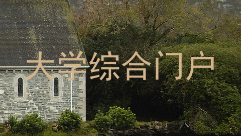 大学综合门户