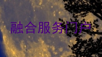 融合服务门户