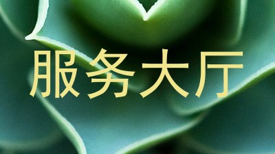 服务大厅