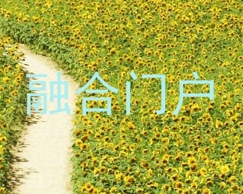 融合门户