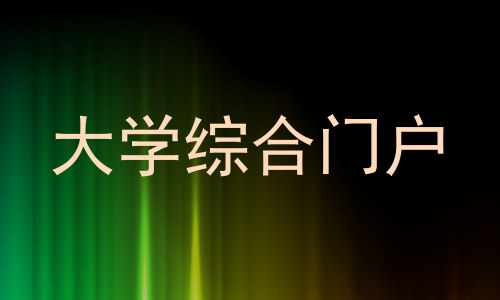 大学综合门户