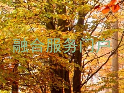 融合服务门户