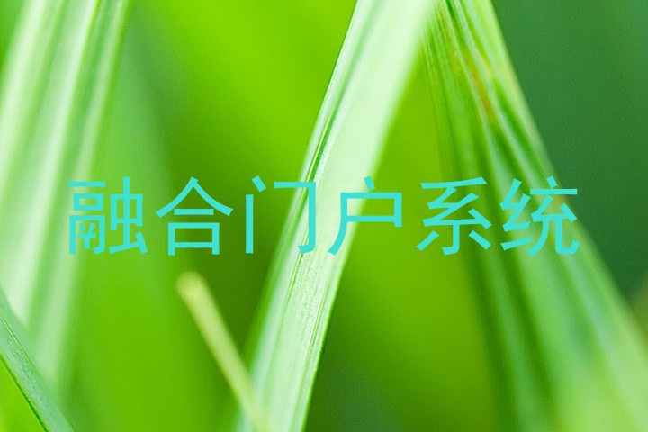 融合门户系统