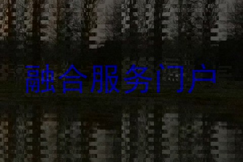 融合服务门户