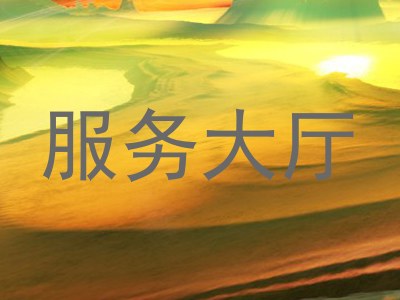 服务大厅