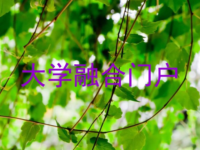 大学融合门户