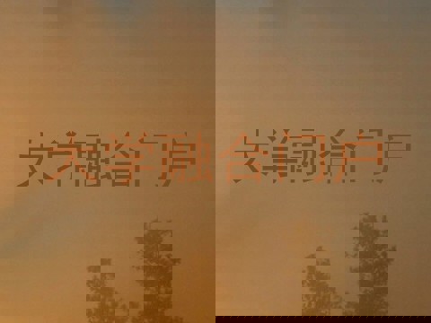 大学融合门户