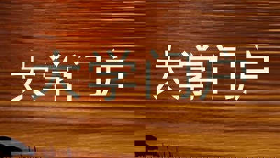 大学门户