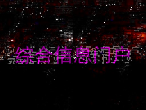 综合信息门户