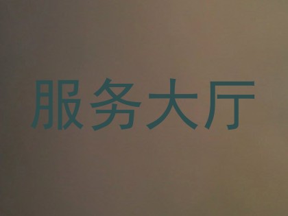 服务大厅