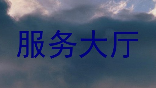 服务大厅