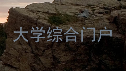 大学综合门户