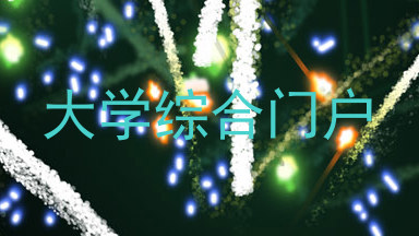 大学综合门户