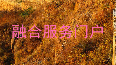 融合服务门户
