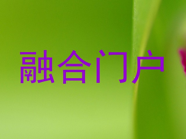 融合门户