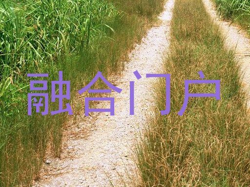 融合门户