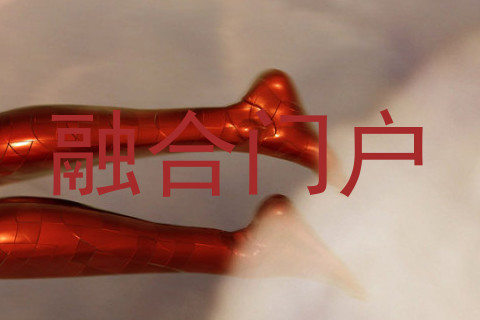 融合门户