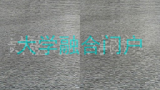 大学融合门户