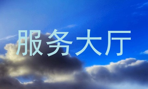 服务大厅
