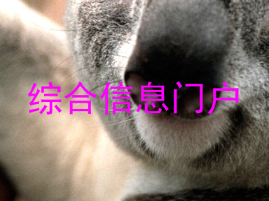 综合信息门户