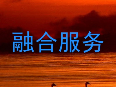 融合服务